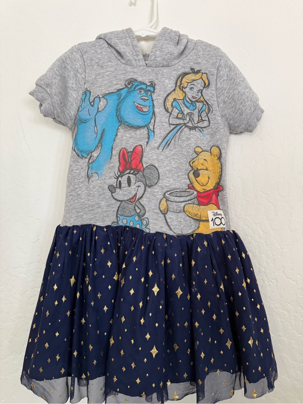 Disney Hooded 100th anniversary character dress